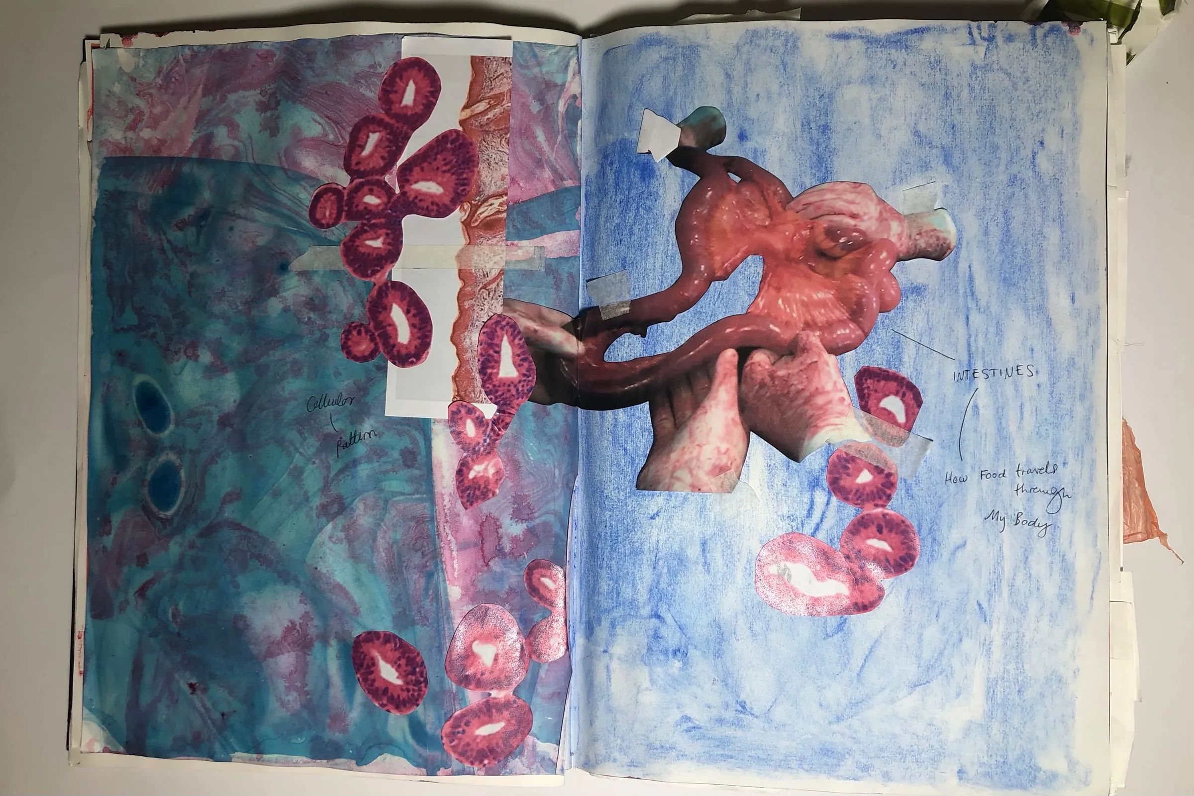 Amy O'Mara Behind The Scenes 1