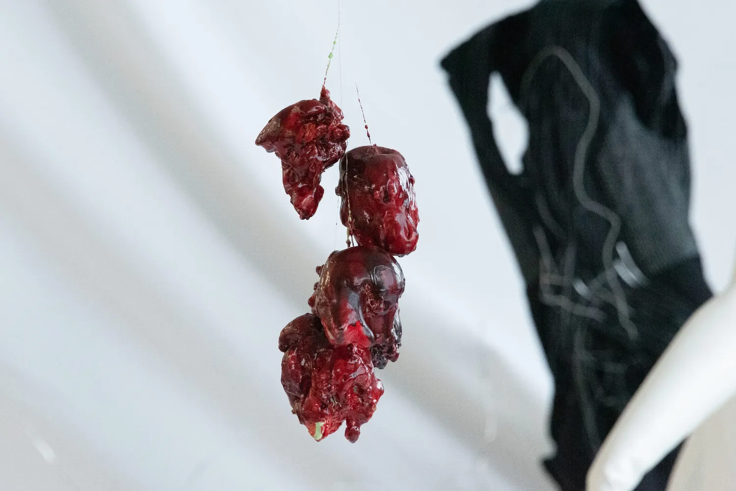 Brooke Griffith Hero Image