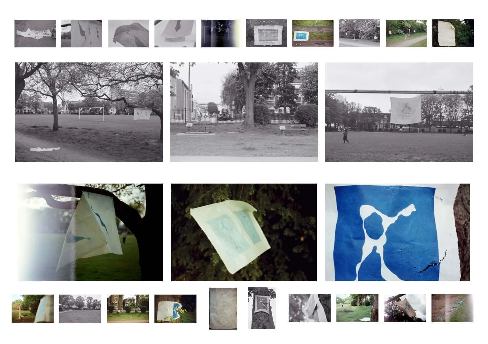 Dineen Vanstone Caelo Slide 3