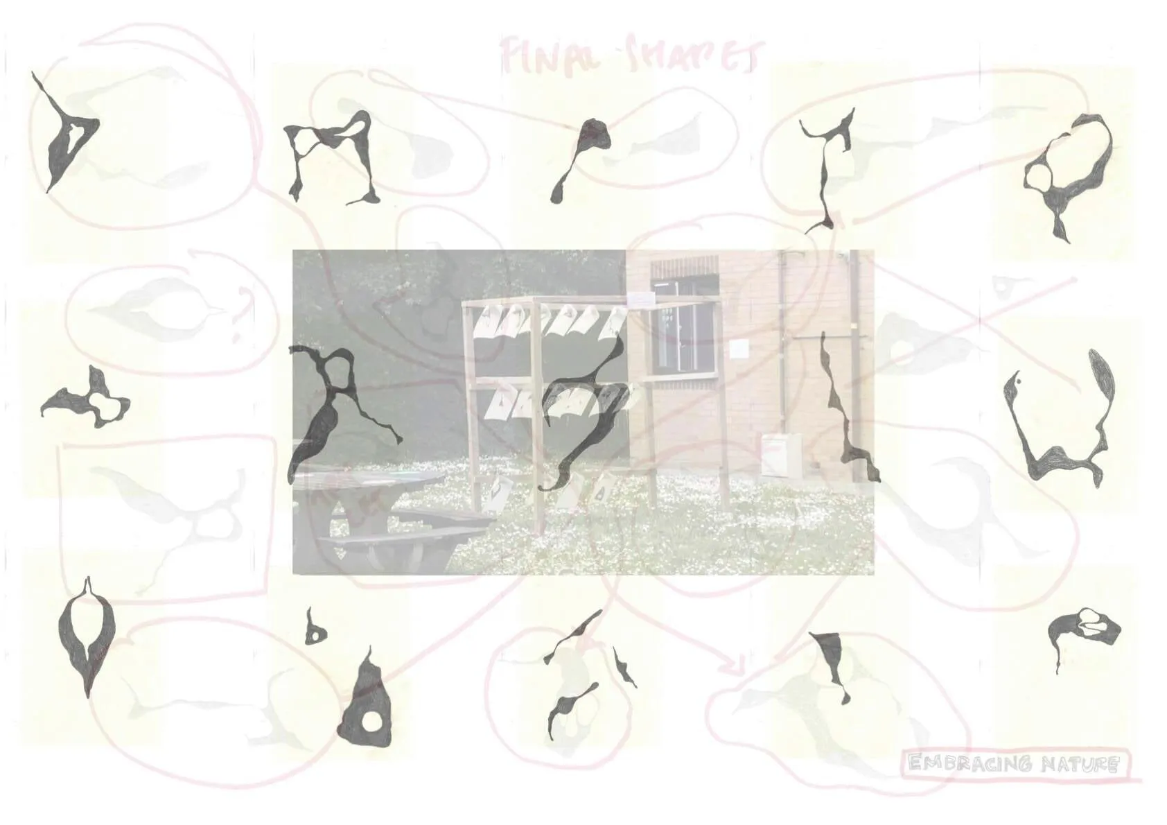 Dineen Vanstone Caelo BTS Slide 5