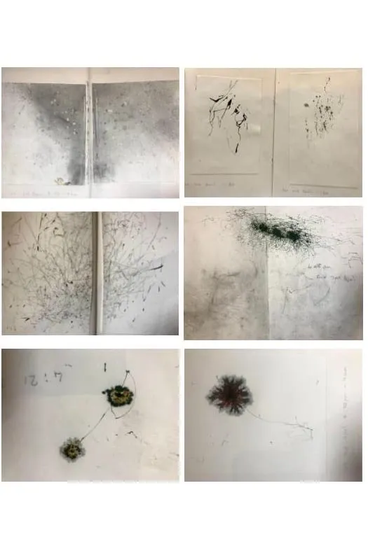 lottie frei.behindscenes.image1