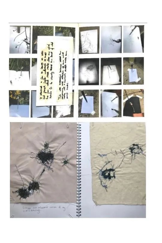 lottie frei.behindscenes.image2