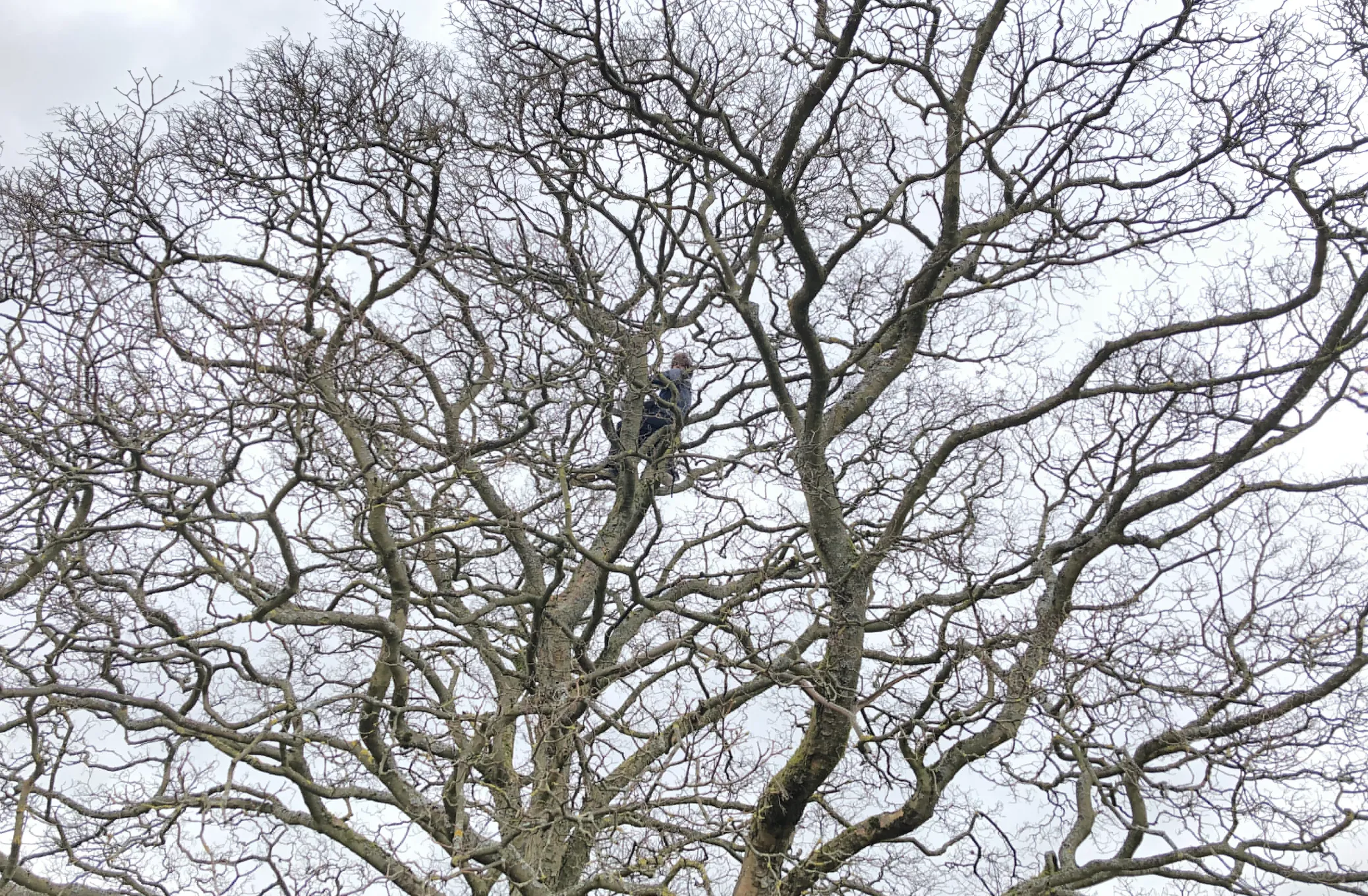 Screen Shot 2021-05-30 at 17.18.28