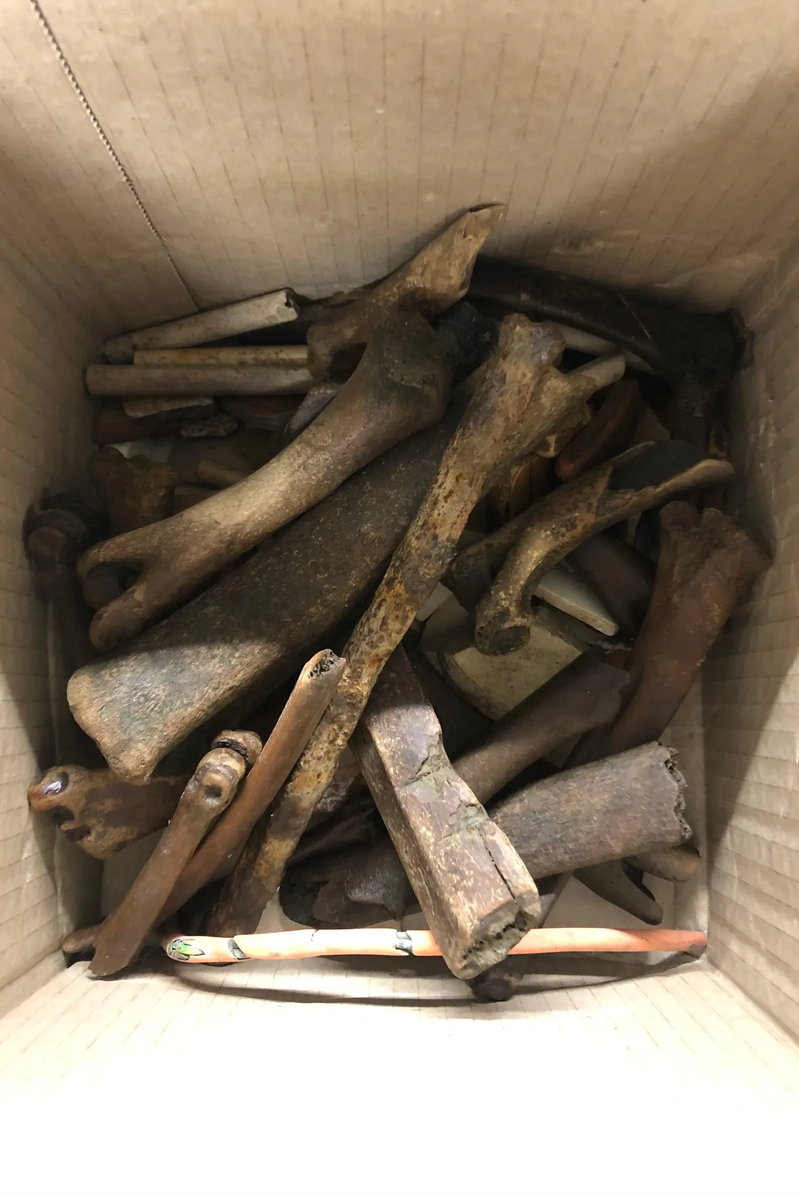 Connie Woods Gundry behind the scenes 5