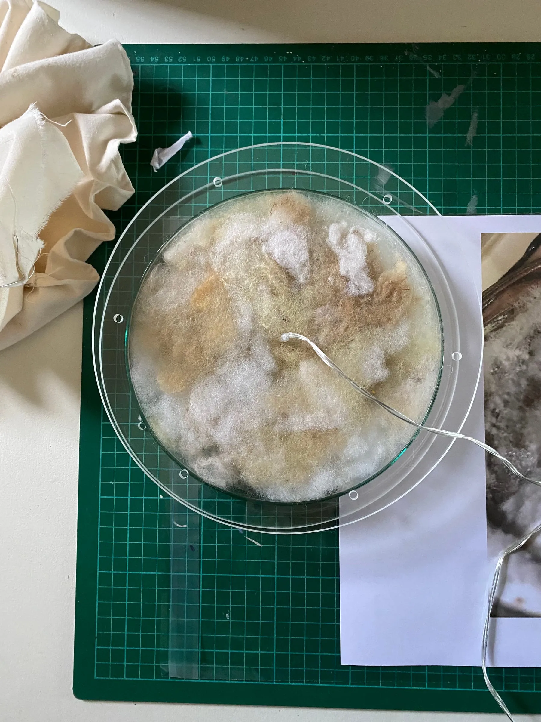 eleni macbean behind the scenes 2