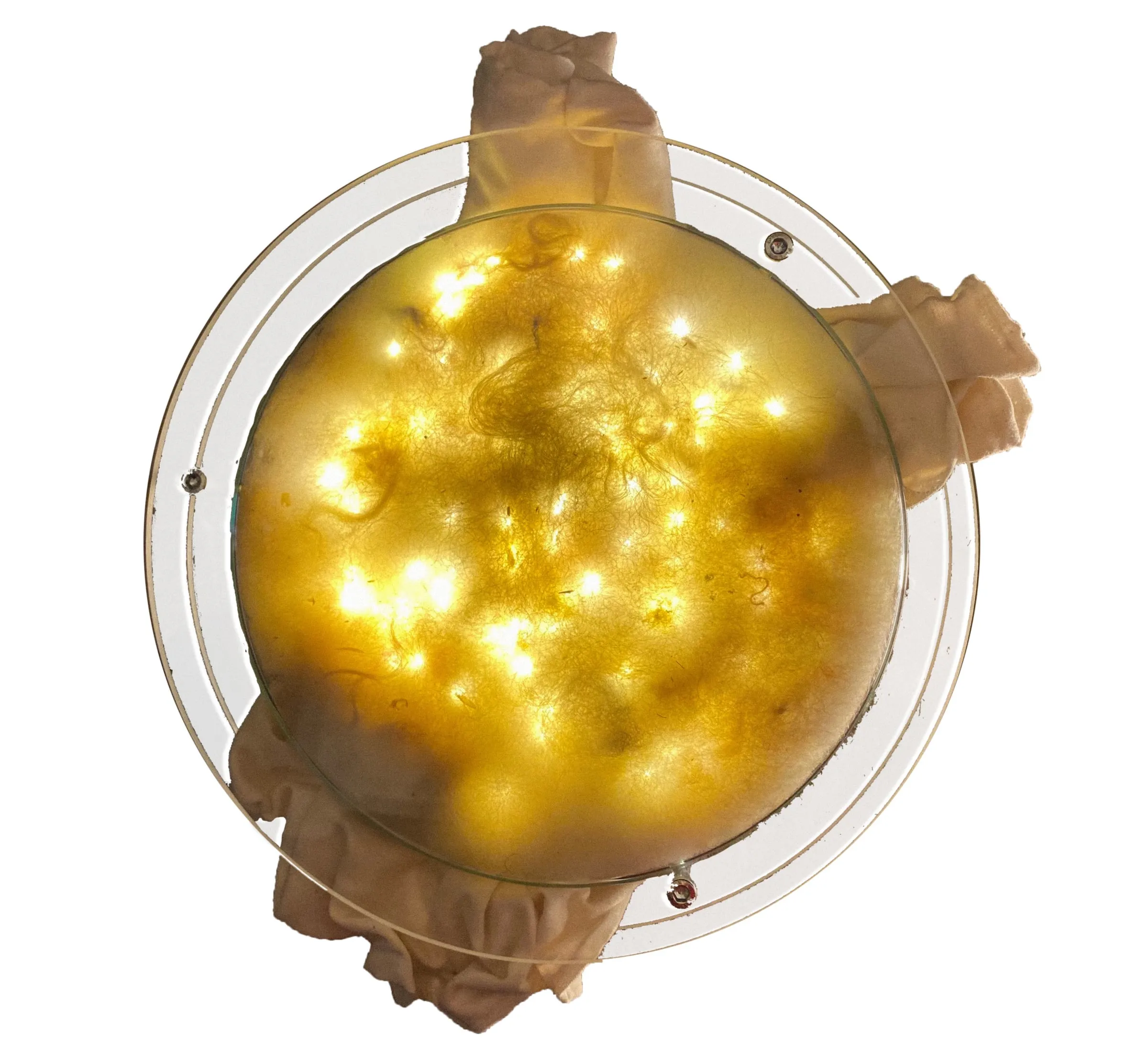 eleni macbean behind the scenes 5