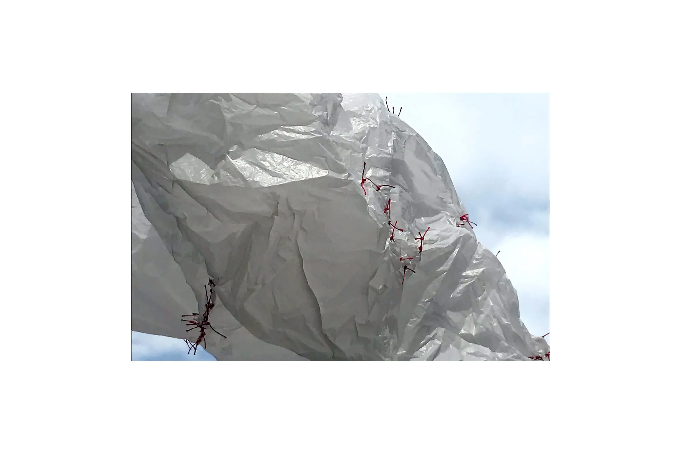 Fraser Elizabeth BTS 4