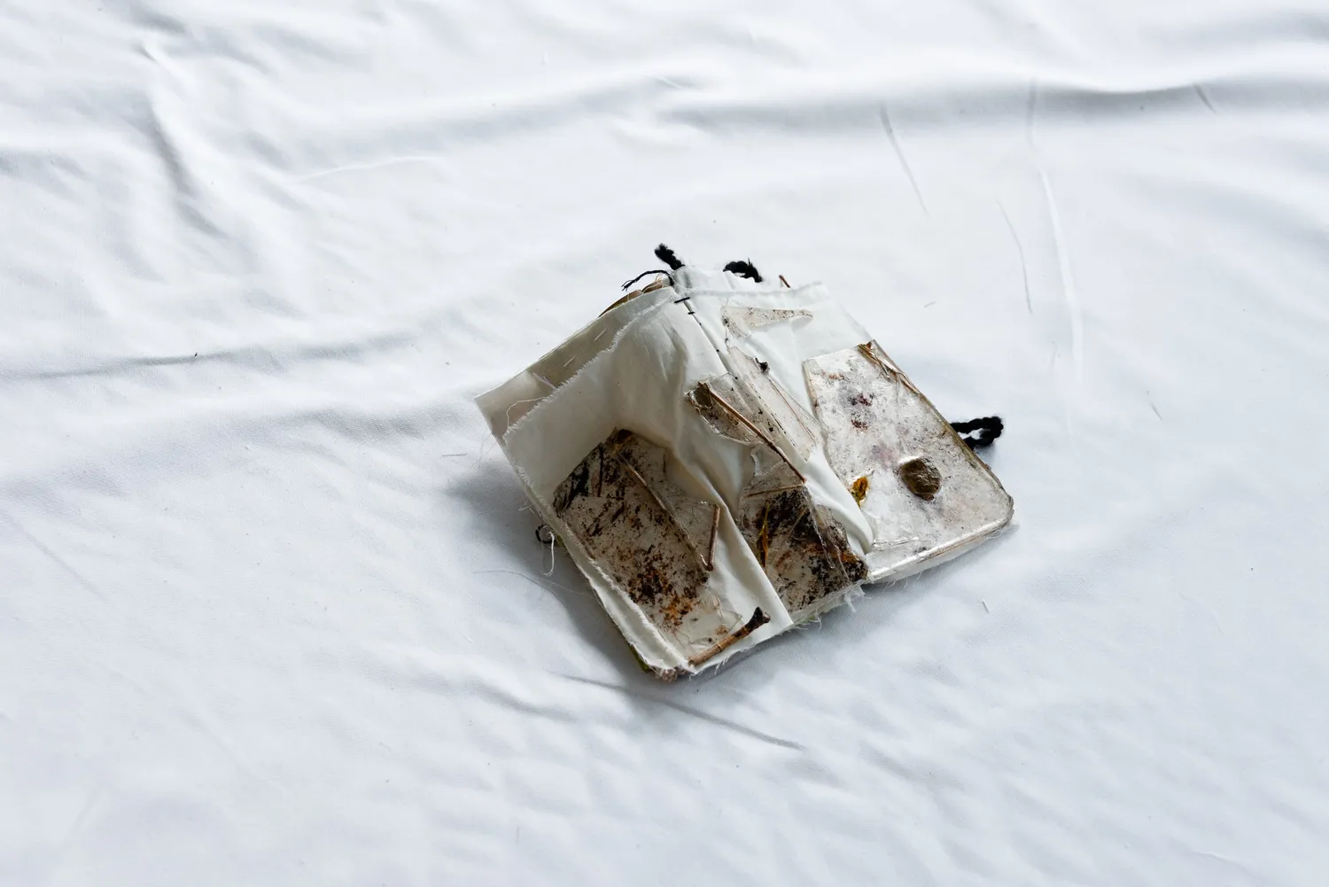 Eva Clark Hero Image