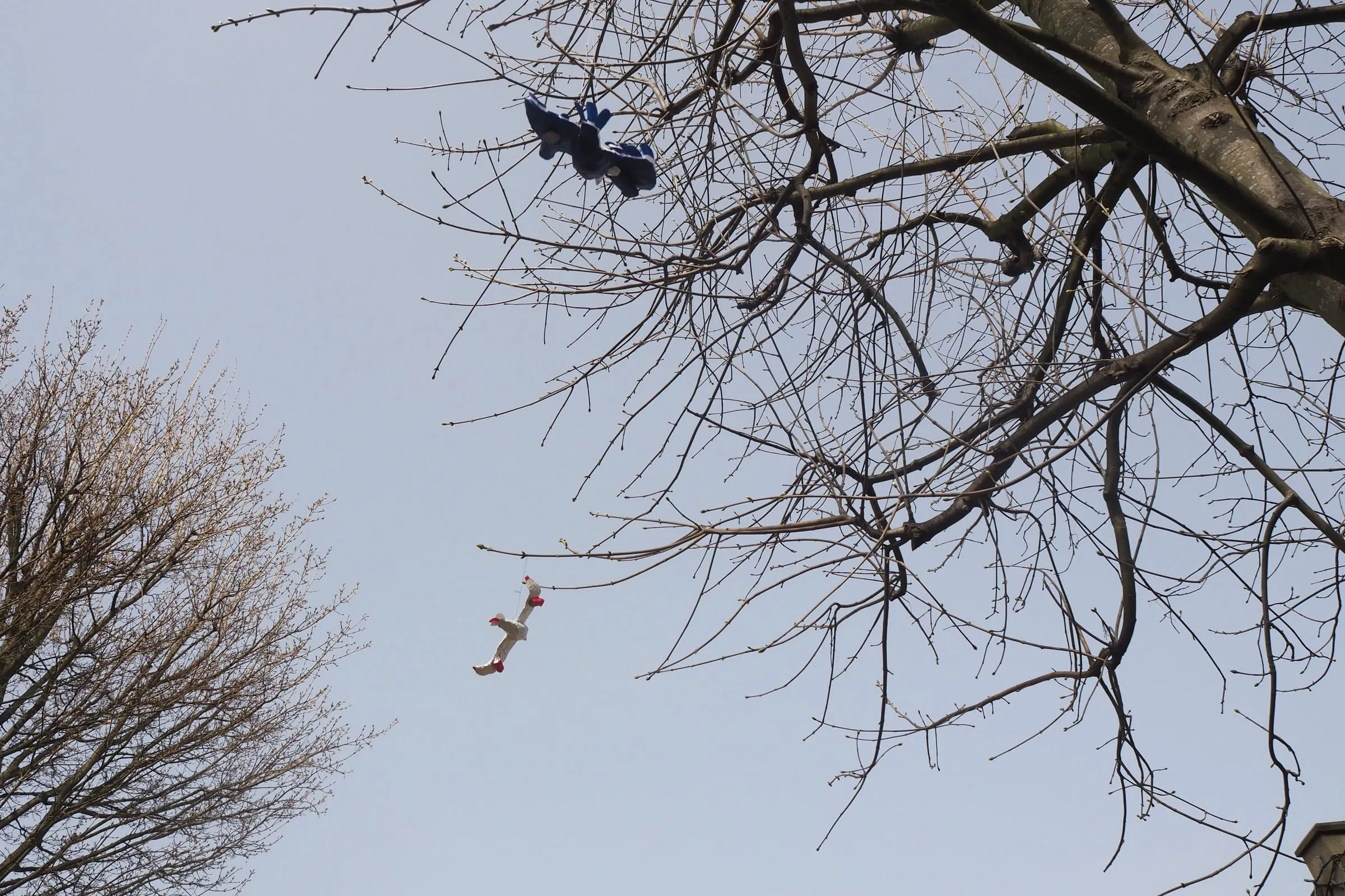 Evie Ames behind the scenes 2