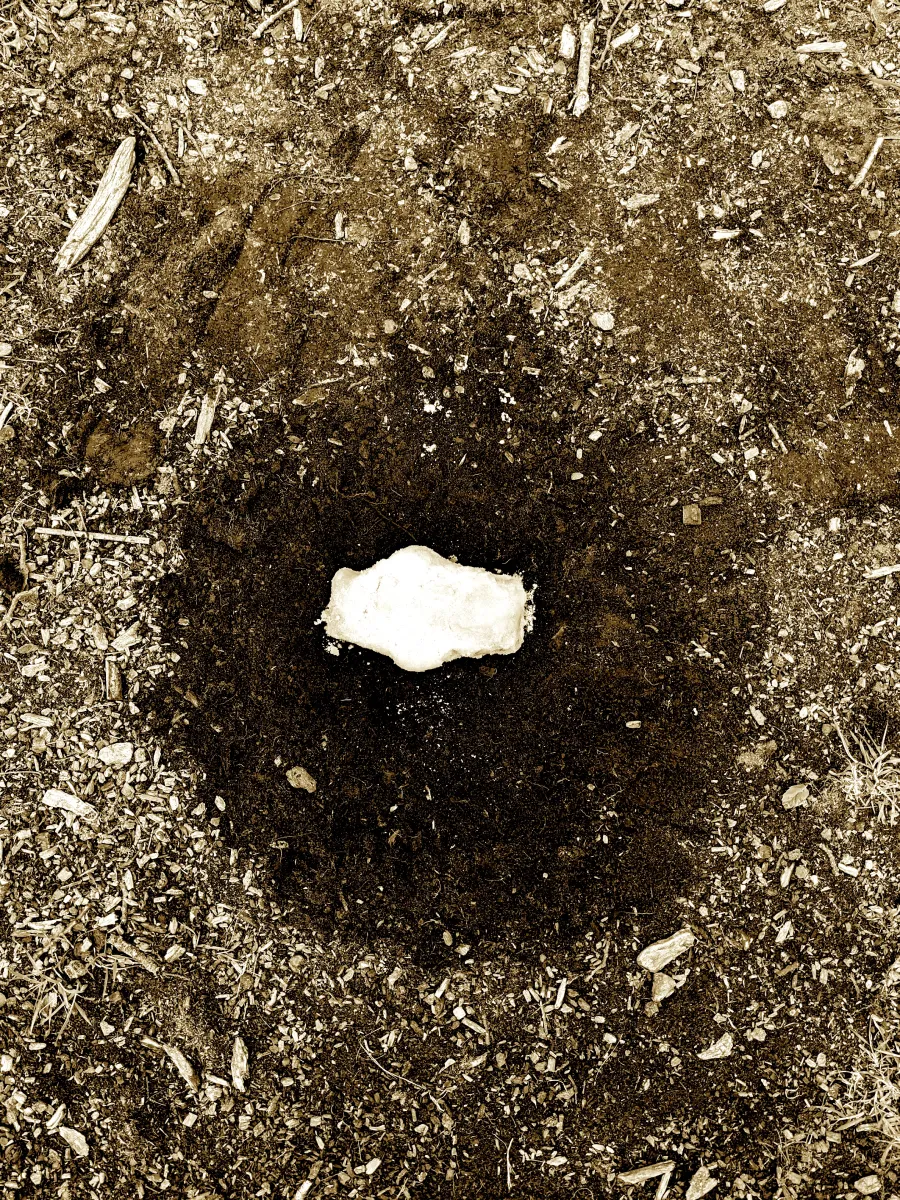 Fin Warren Behind the scenes teddy