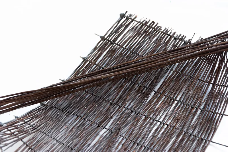 India Renshaw Hero Image