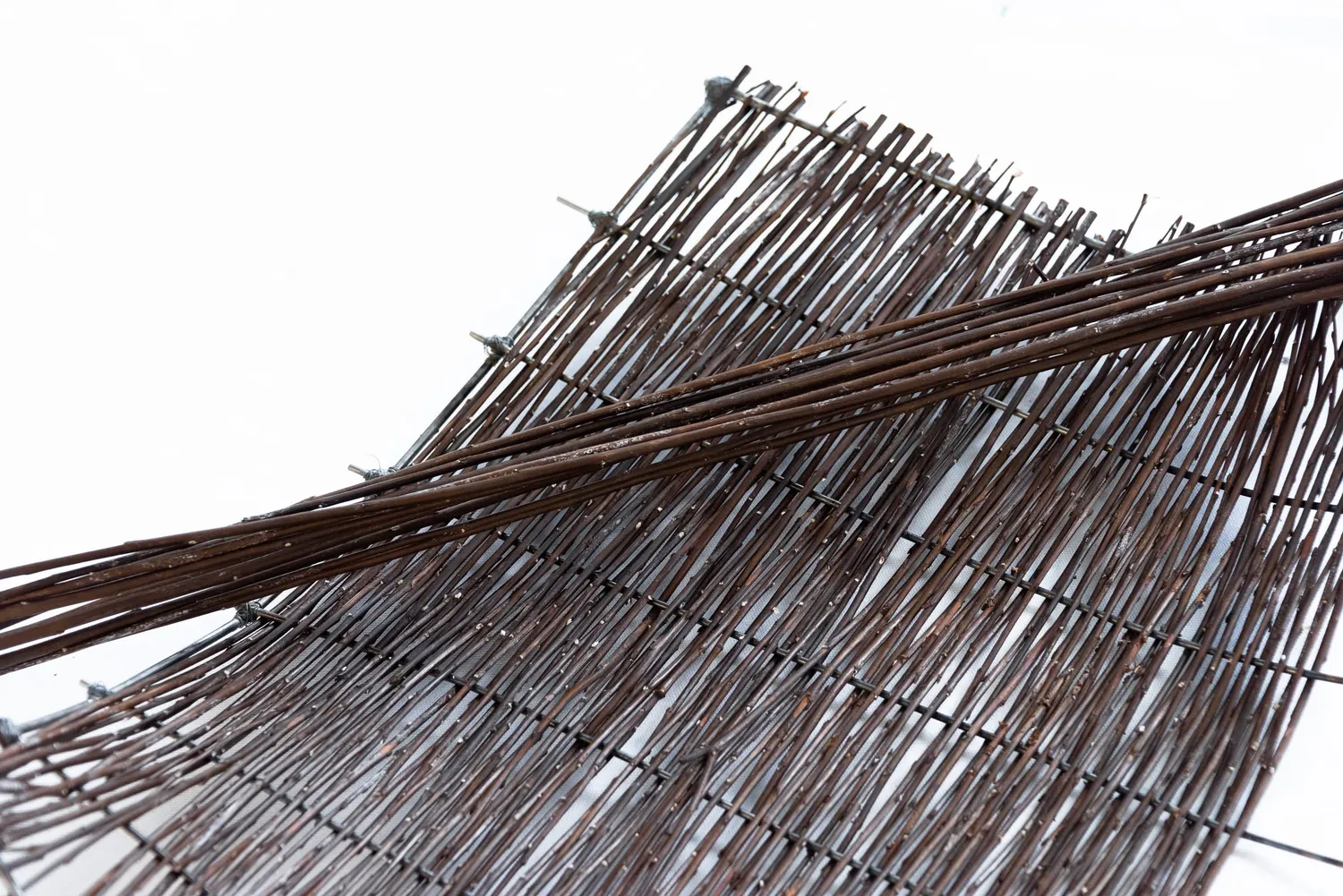 India Renshaw Hero Image