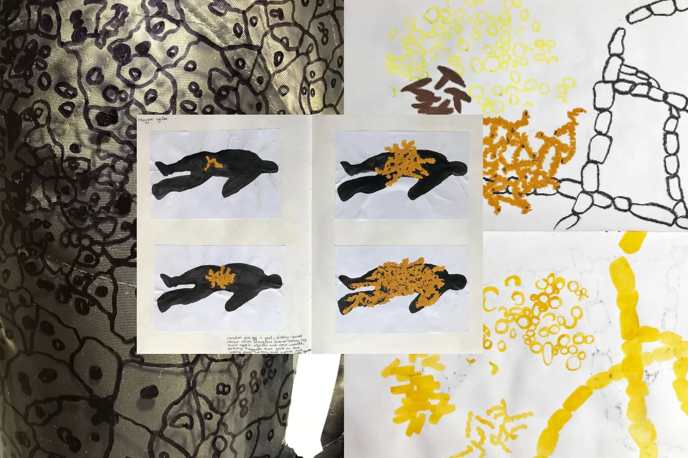 Edwards Katie behindthescenes1