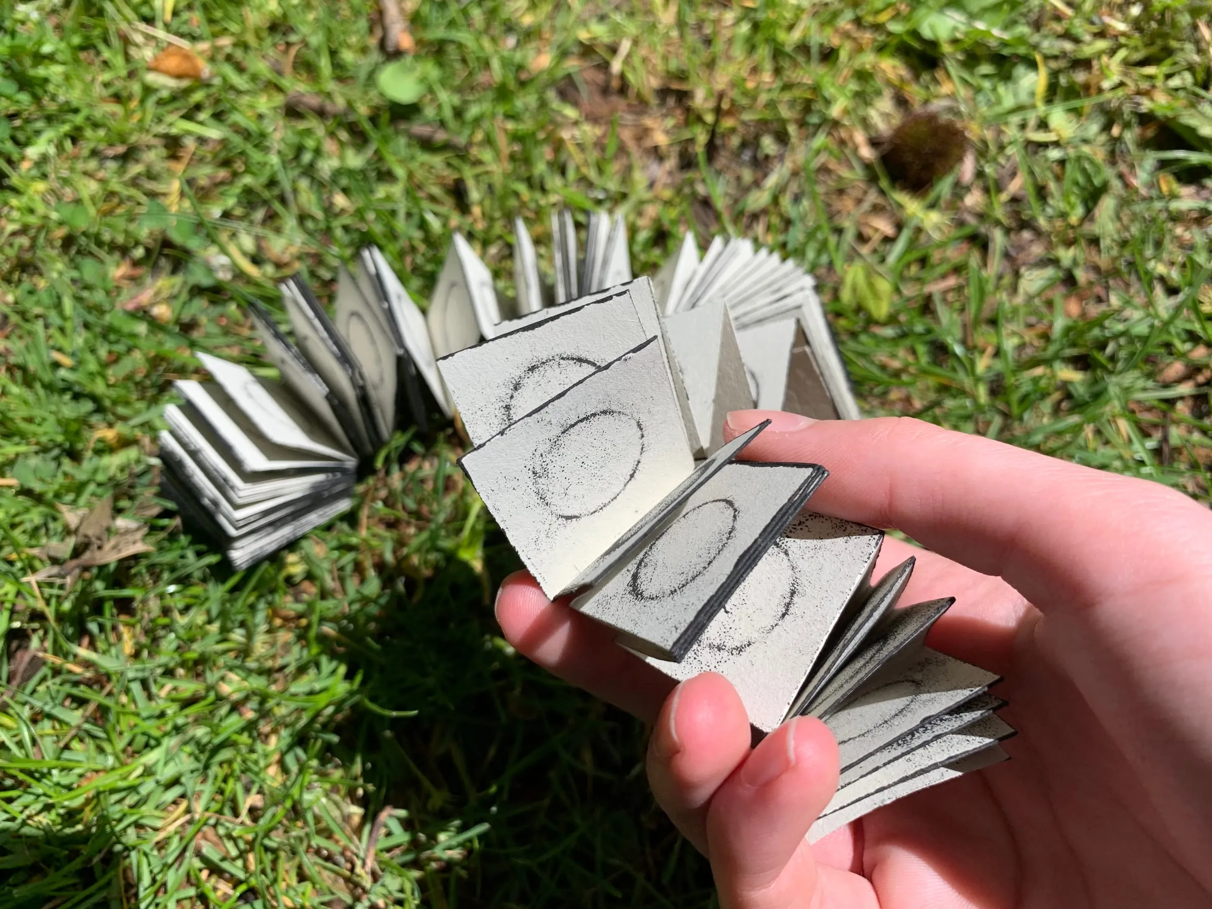 Cornwell-Davison Cadi Slide 3