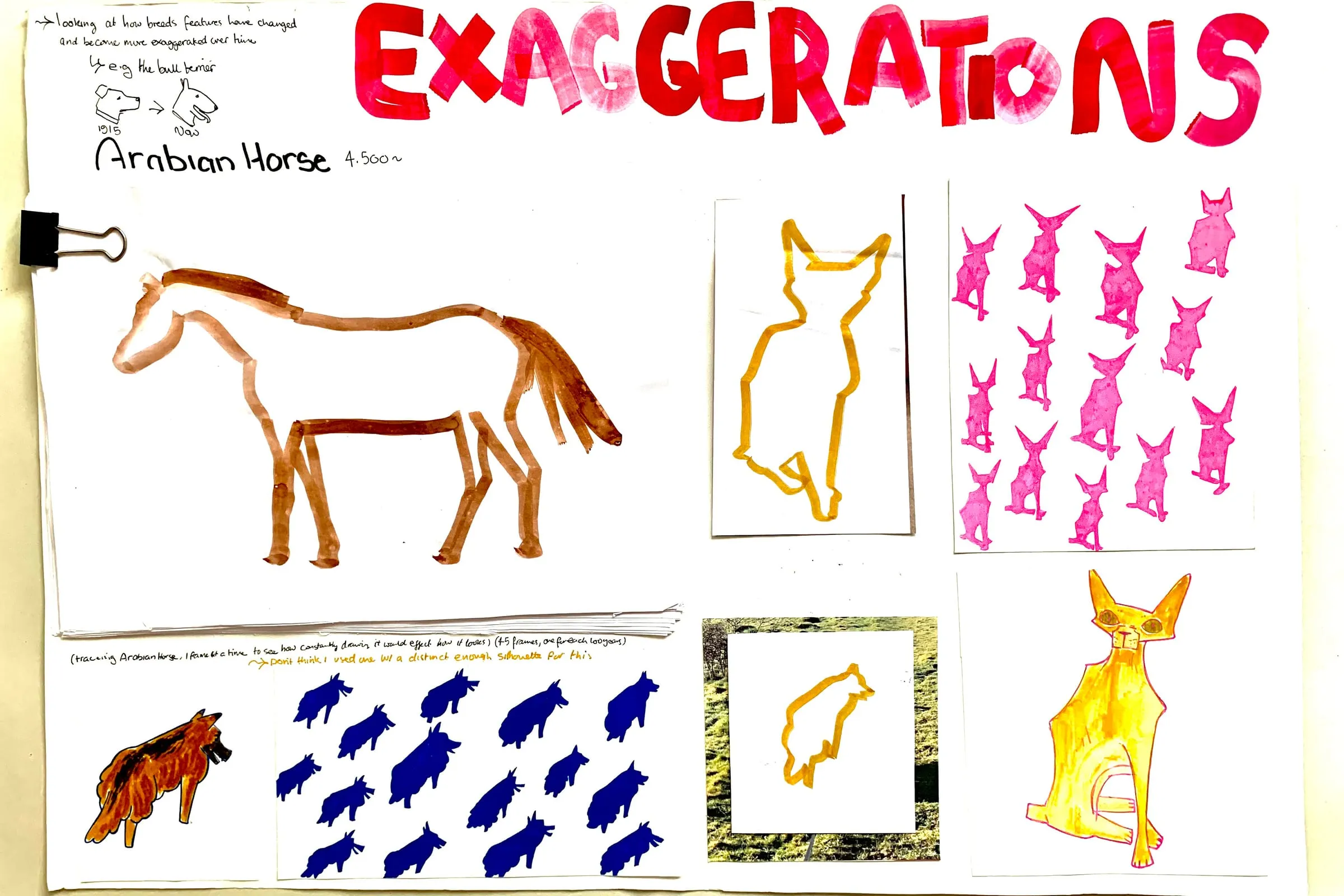 Cornwell-Davison Cadi BTS 1