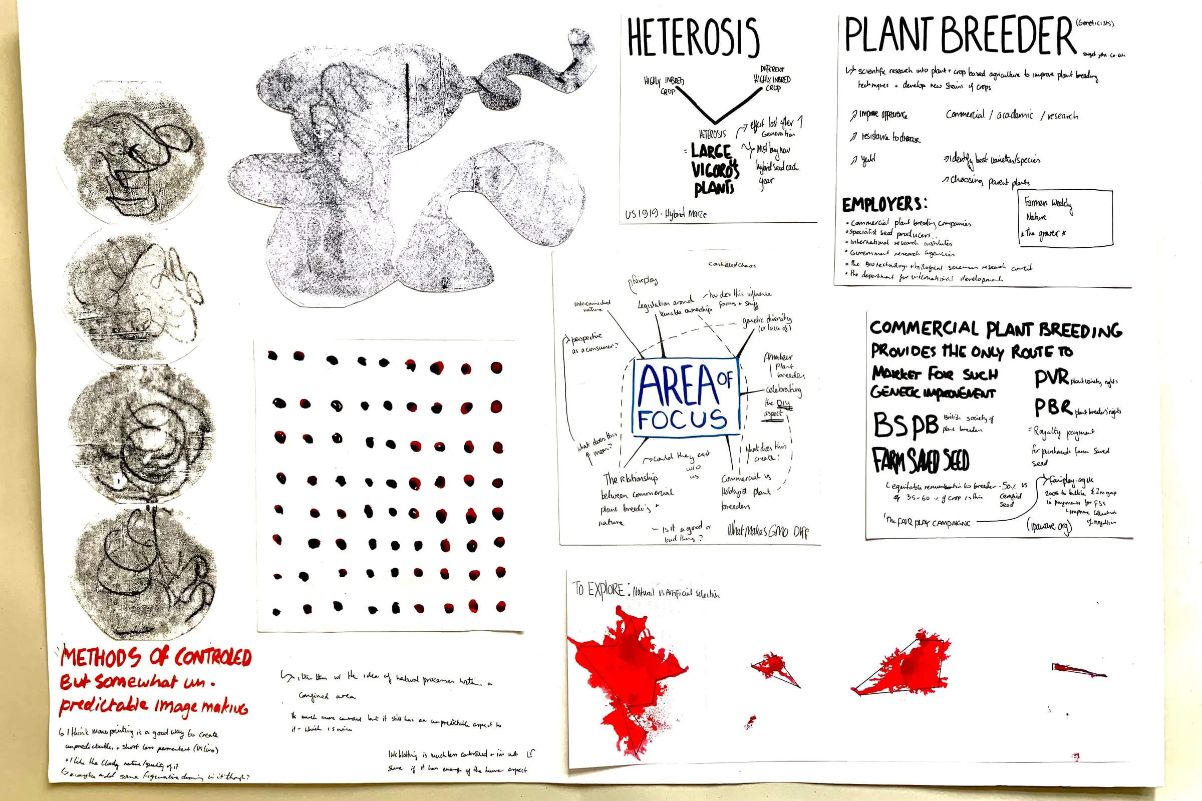 Cornwell-Davison Cadi BTS 4