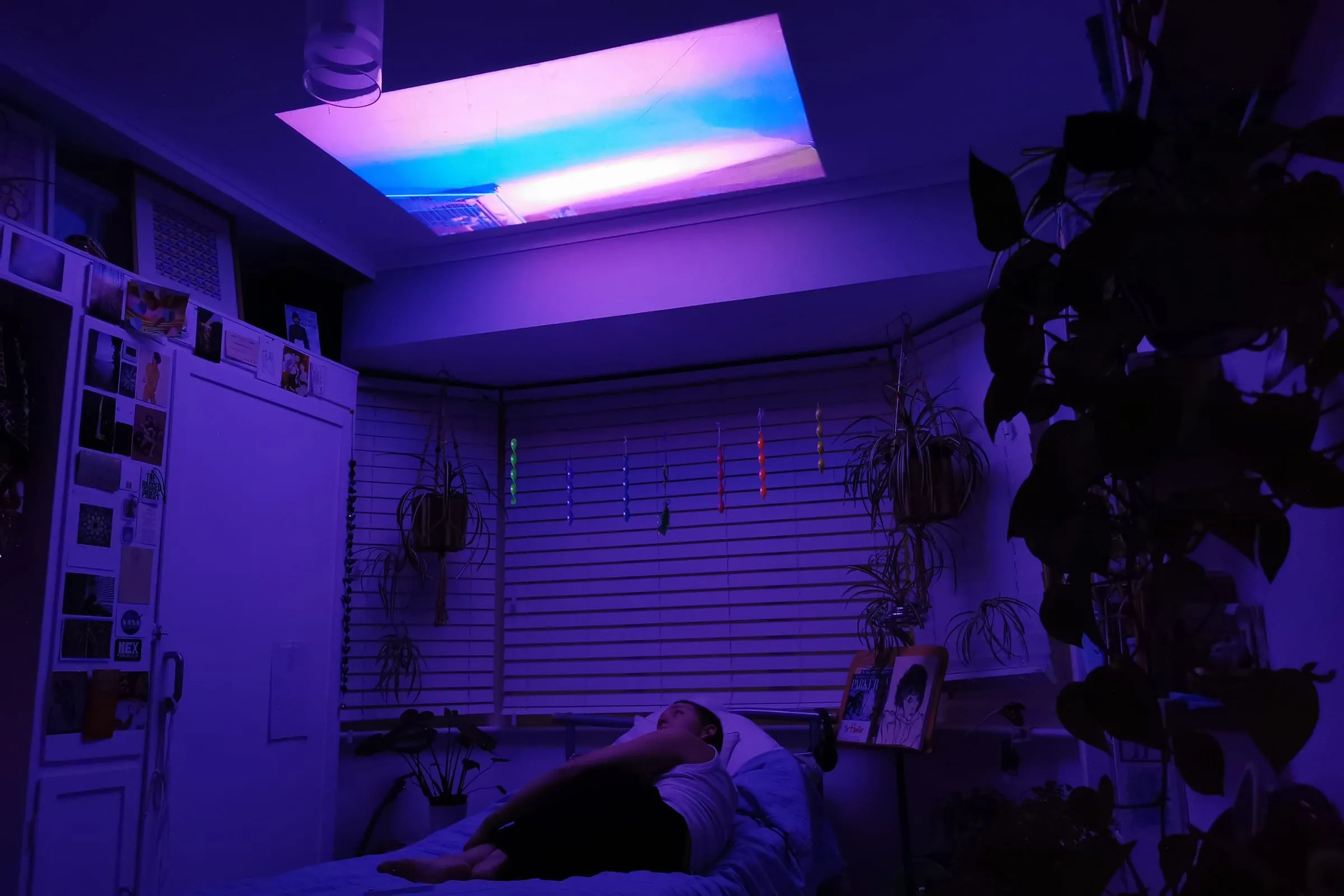 LibertyDearsley Slide3 cropped