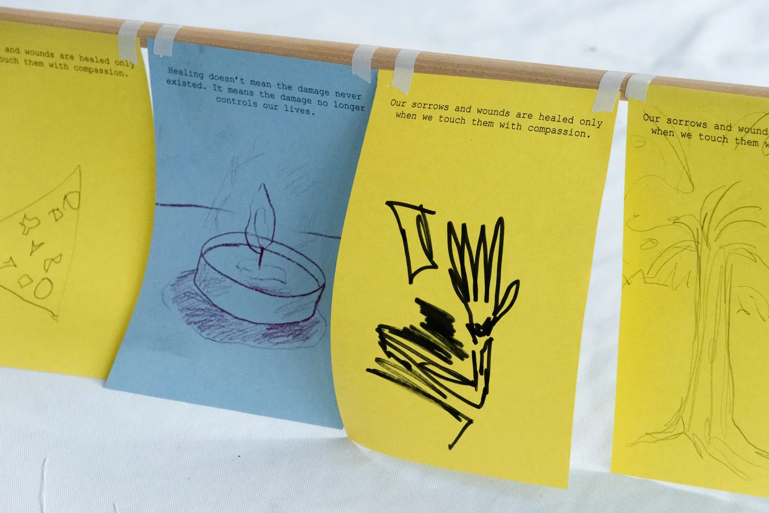 Madeleine Pitt Hero Image