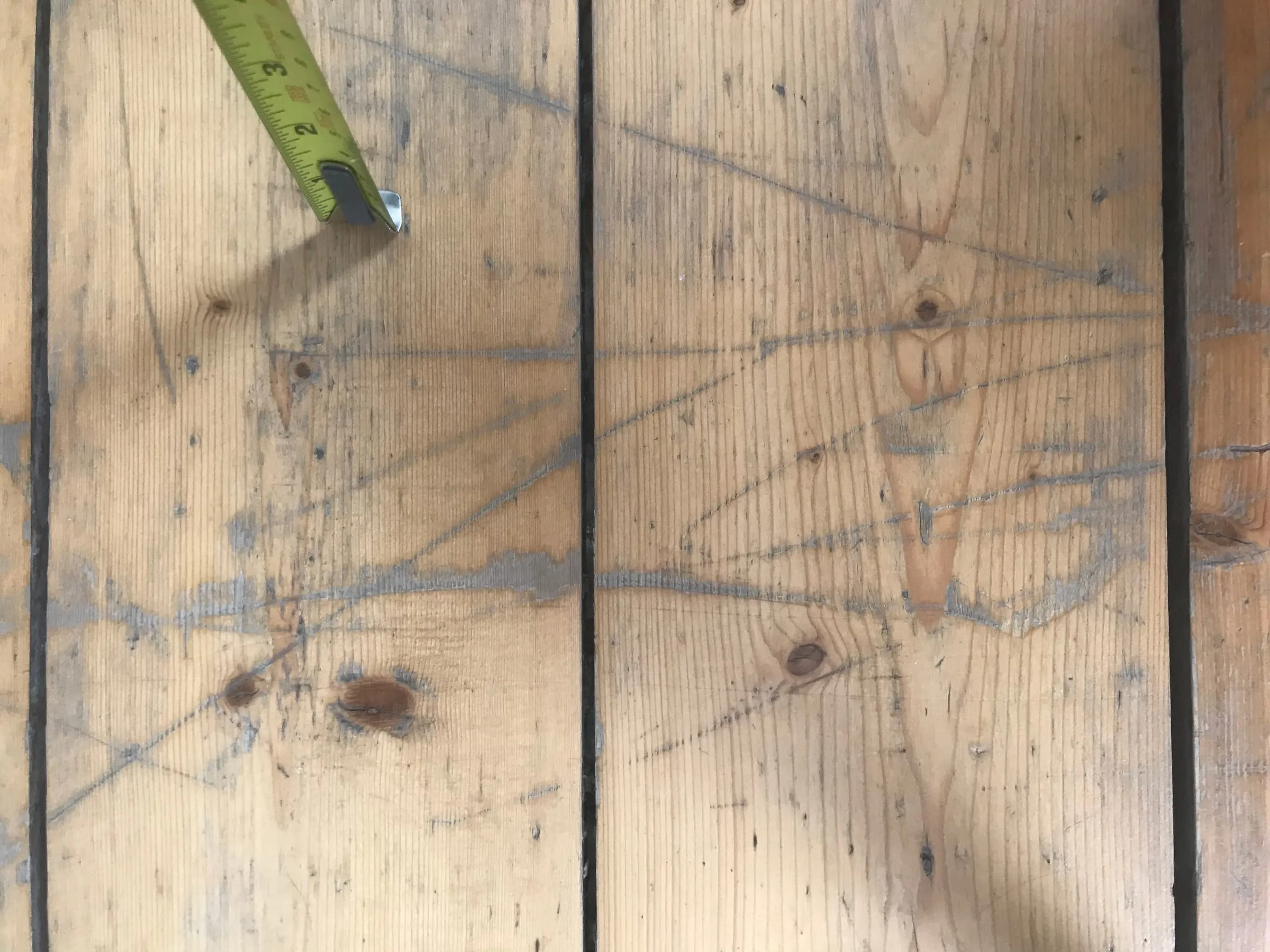 colewire olive BTS 2